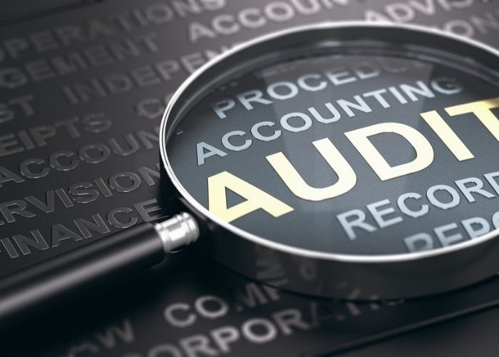 Audit Services